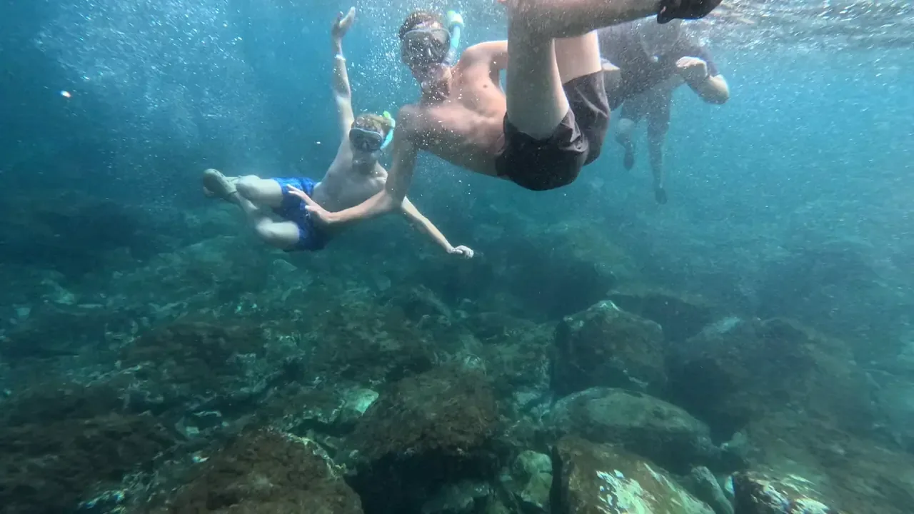 Day and night snorkel in Tenerife