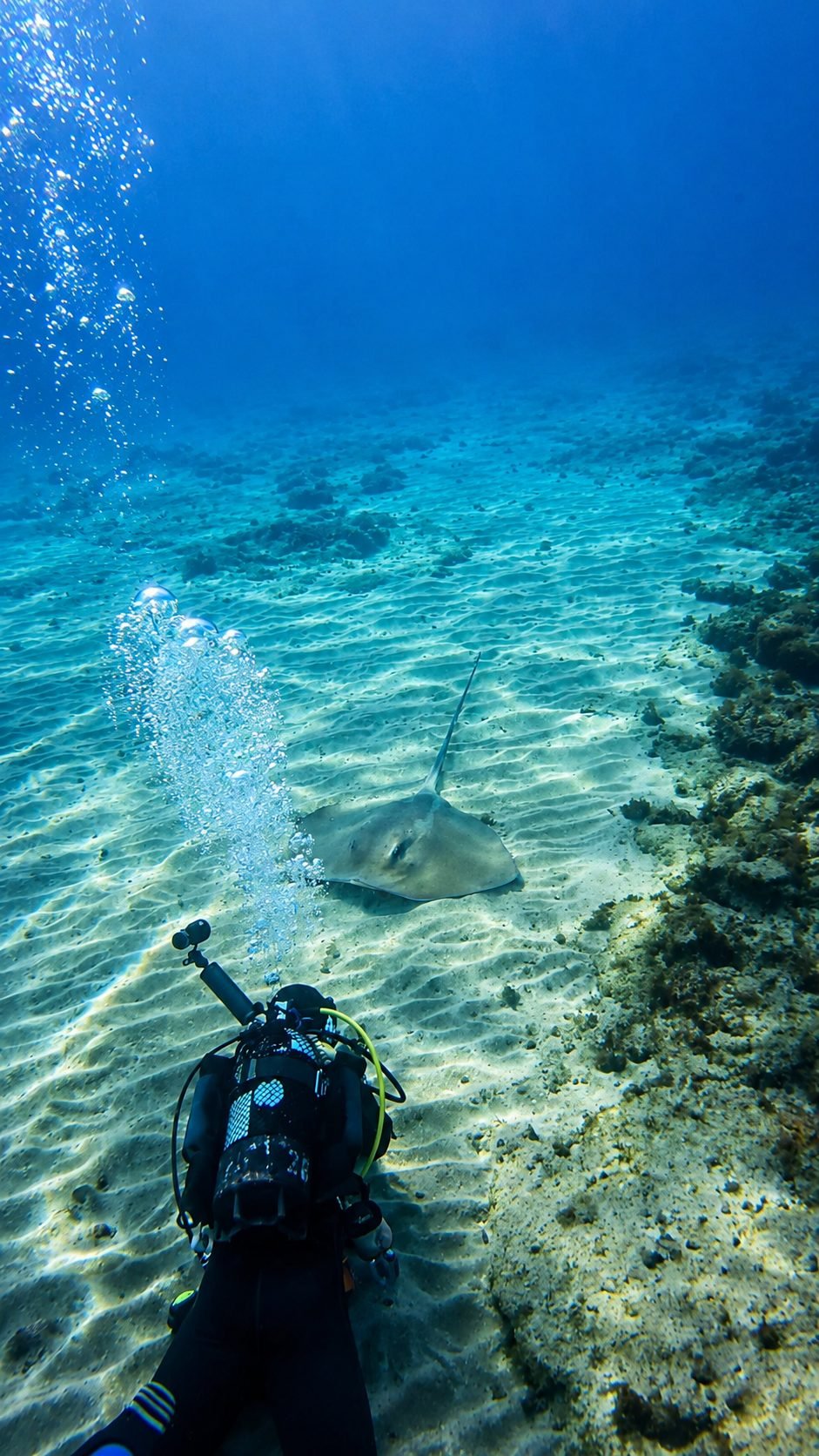 Buceo bajo el agua en Tenerife