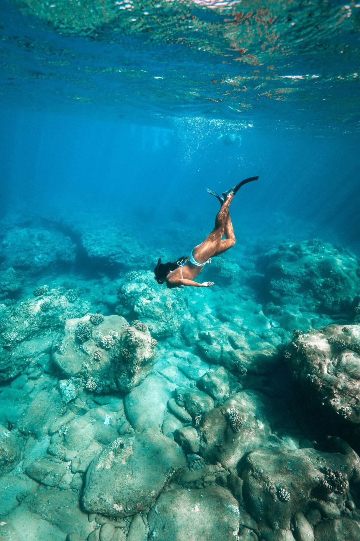 Snorkel en Palm-Mar Tenerife Sur