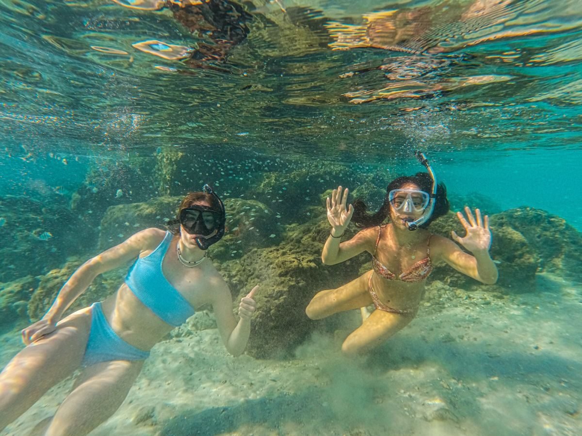 Snorkel con tortugas en Tenerife Sur